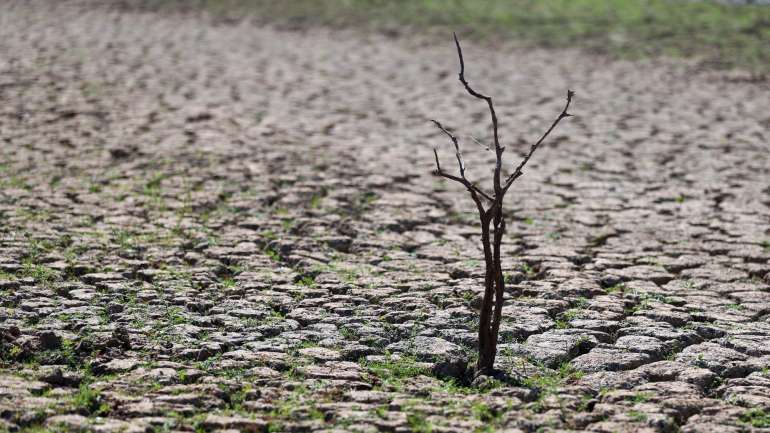 No que diz respeito à temperatura mínima do ar, o IPMA adianta que foi superior ao normal em 0,72 graus Celsius