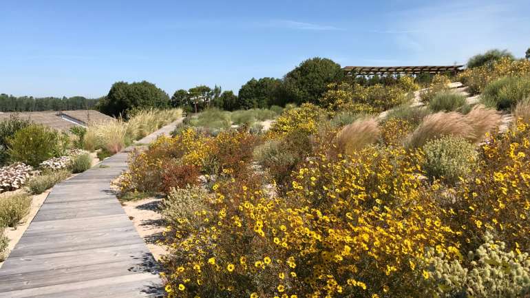 Os jardins são feitos com plantas silvestres e sempre integrados na paisagem existente.