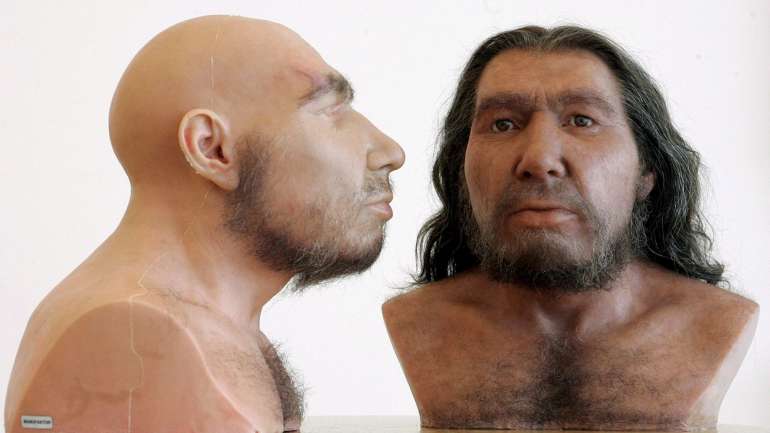 Segundo os resultados, as populações neandertais ao longo da costa já pescavam e recolhiam moluscos