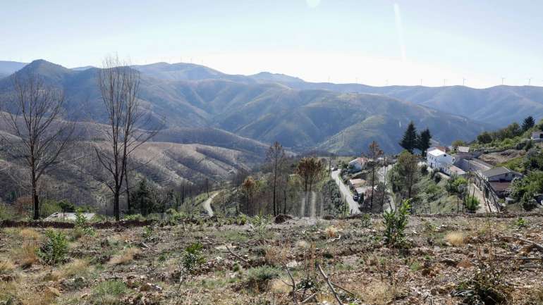 Desde o início do ano até ao último domingo, a GNR já promoveu 3.146 ações de sensibilização para a limpeza da floresta, em que estiveram presentes 52.967 pessoas