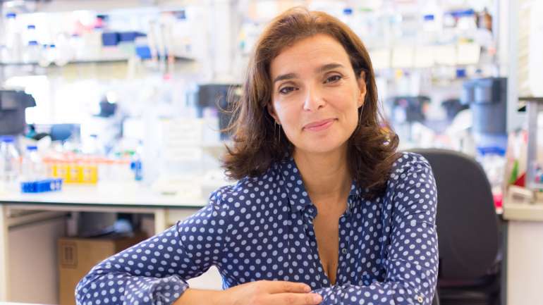Maria Manuel Mota, diretora do Instituto de Medicina Molecular (IMM).