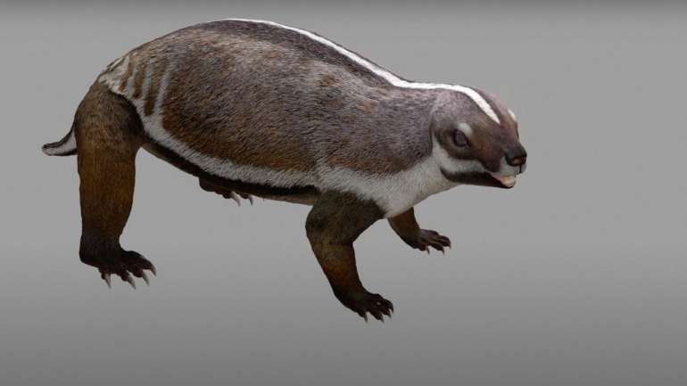 É uma descoberta que desafia suposições antes feitas na teoria da evolução