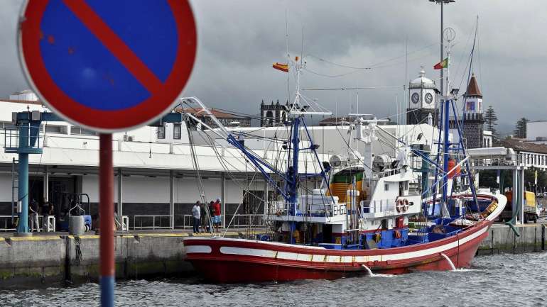 Pescado apreendido será, posteriormente, vendido em lota