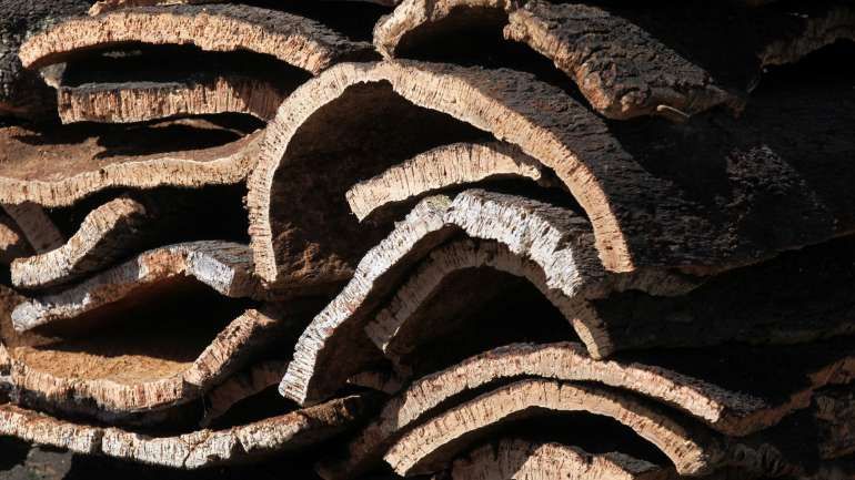 Esta evolução reflete "os aumentos de preços de venda e os ganhos de eficiência operacional nas várias unidades de negócio", explica a Corticeira Amorim