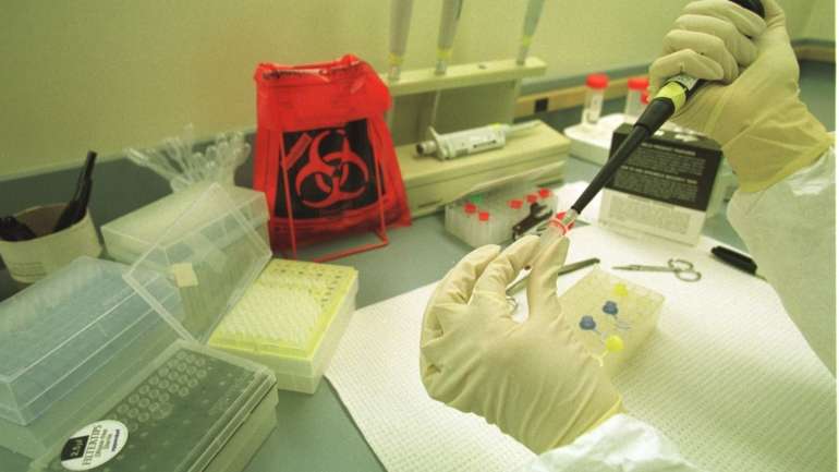 A Moderna informou que obteve resultados positivos numa fase inicial da sua vacina experimental, com “potencial para evitar a doença da Covid-19”