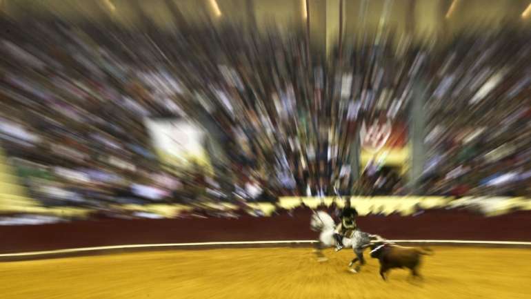 Concentração visou protestar pelo facto de terem sido reabertas todas as atividades e espetáculos culturais com a exceção da tauromaquia