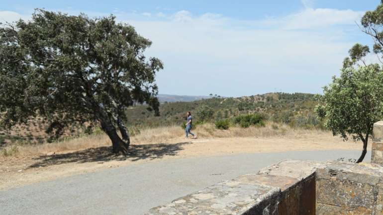 Em causa está o projeto de loteamento turístico Monte da Ribeira, aprovado em 2008 e que prevê a construção de 909 camas