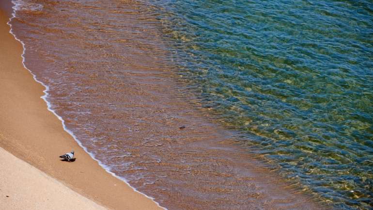 Em Portugal, divulgada pela internet, decorre uma palestra organizada pelo Centro de Comunicação dos Oceanos, com o apoio da UNESCO e da Comissão Oceanográfica Intergovernamental