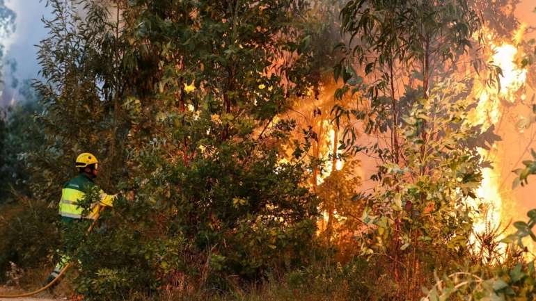 "Considerando a previsão meteorológica, espera-se um aumento das condições favoráveis à eventual ocorrência e propagação de incêndios rurais", lê-se num comunicado da ANEPC