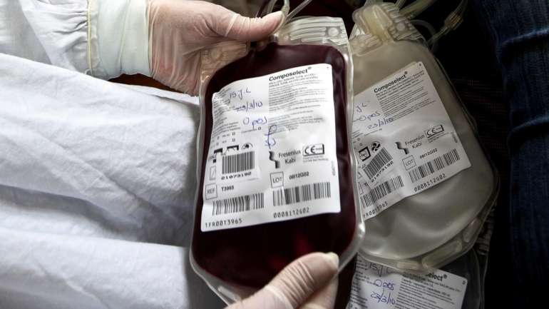 A dádiva de sangue na ULS Médio Tejo é "maioritariamente assegurada por adultos em idade ativa"