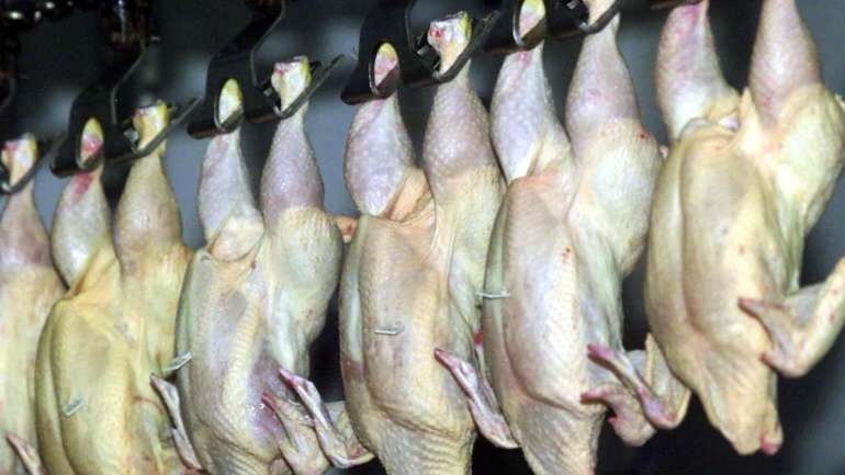 O Brasil é o maior fornecedor de carne de aves do mundo.