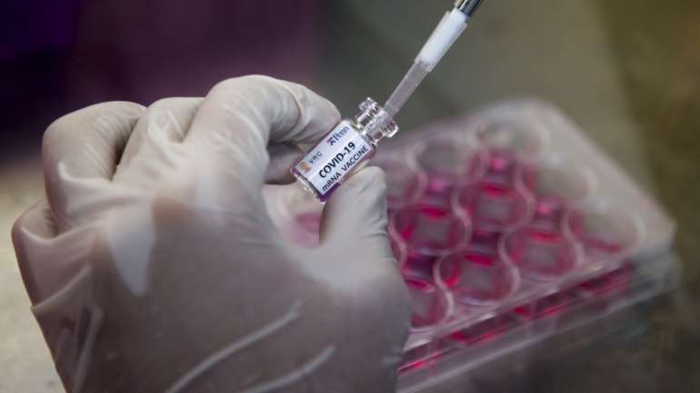 A candidata a vacina da AstraZeneca já se encontra na Fase II/III de ensaios clínicos em larga escala