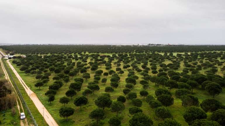 O Fundo Ambiental foi criado em 2016 e tem por finalidade apoiar políticas ambientais para o desenvolvimento sustentável