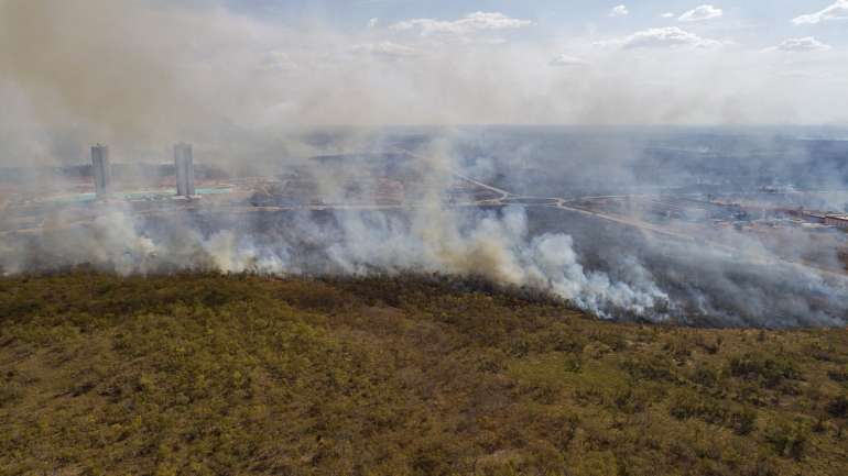 A destruição da Amazónia brasileira aumentou 34,5% em 12 meses, contados entre julho deste ano e o mesmo mês de 2019