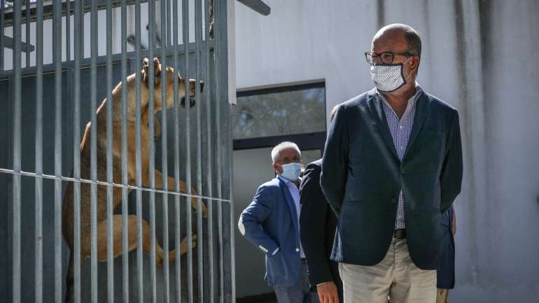 O anúncio foi feito por João Pedro Matos Fernandes, ministro do Ambiente e Ação Climática