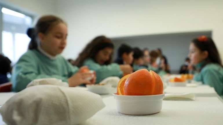 Segundo a bastonária, ainda que a contratação dificilmente esteja concluída no inicio do ano letivo, estes profissionais vão ser essenciais para acompanhar e apoiar as escolas