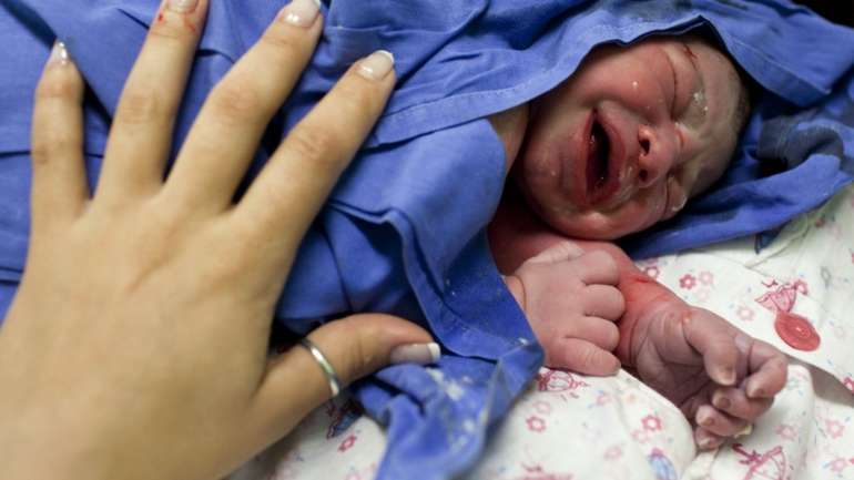 Os números divulgados reforçam a tendência de crescimento verificada em 2025