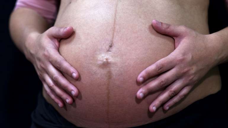 O diploma em causa, onde se omite referências à barriga de aluguer, é da autoria do PSD