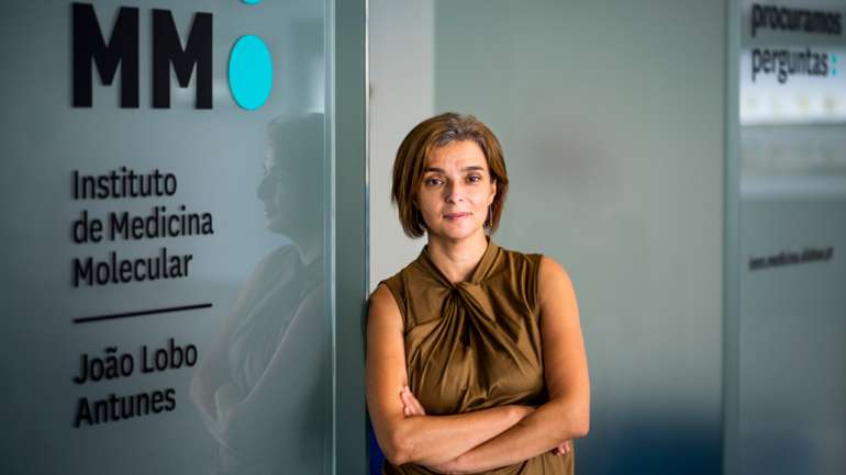 Maria Manuel Mota, diretora executiva do Instituto de Medicina Molecular, estuda a malária há 25 anos e não acredita em soluções fáceis ou a curto prazo. Não tem dúvida que vai ser criada uma vacina, mas não arrisca afirmar que será no seu tempo de vida