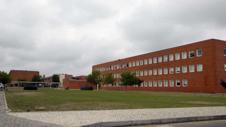 A equipa "utilizou secretomas de células estaminais humanas", explica uma nota de imprensa da Universidade de Aveiro