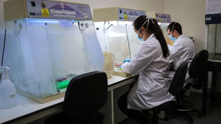 O i3S integra mais de 1.300 pessoas — entre investigadores, técnicos e estudantes — de 39 nacionalidades, com mais de 300 projetos de investigação