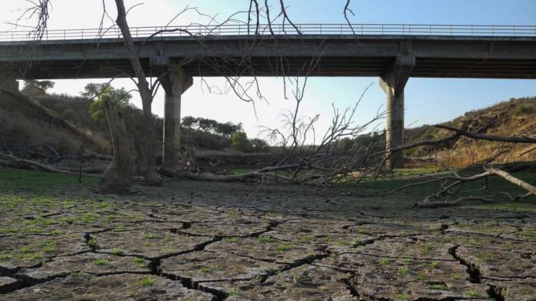 Miguel Araújo destacou que "a velocidade da destruição não é equivalente à velocidade da resposta"