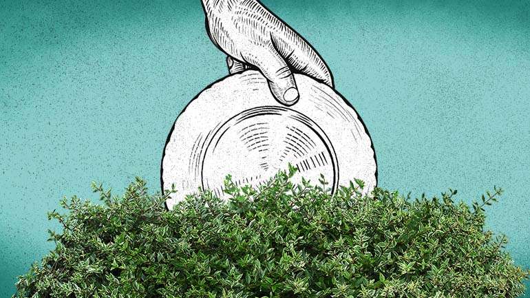 "O Honest Greens nasceu em Espanha e o primeiro espaço em Lisboa surgiu no Parque das Nações, em fevereiro de 2020, mesmo a tempo da pandemia. Em outubro seguinte, chegou ao Amoreiras Plaza, onde me encontro. Notícia confirmada é que em breve vai abrir no Porto também."