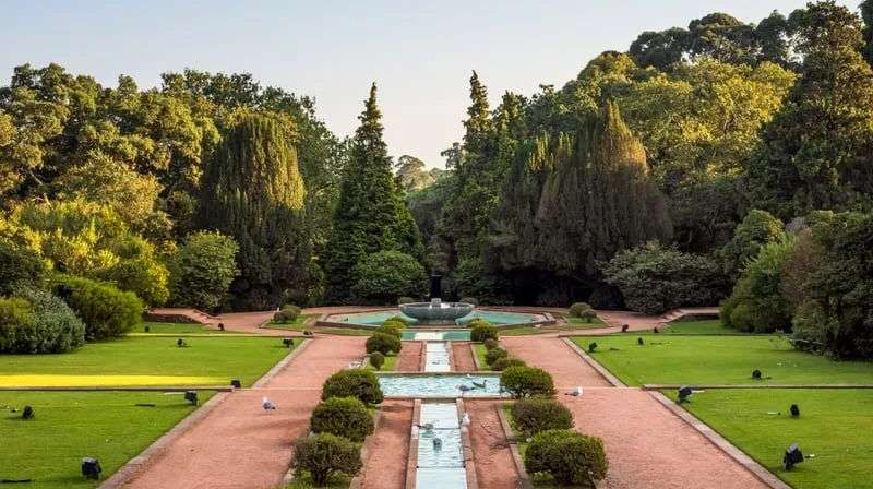 Fundação Serralves