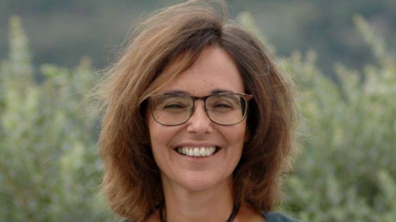 Carla Gonçalo faz atualmente parte do Conselho de Gestão da Direção Executiva do SNS