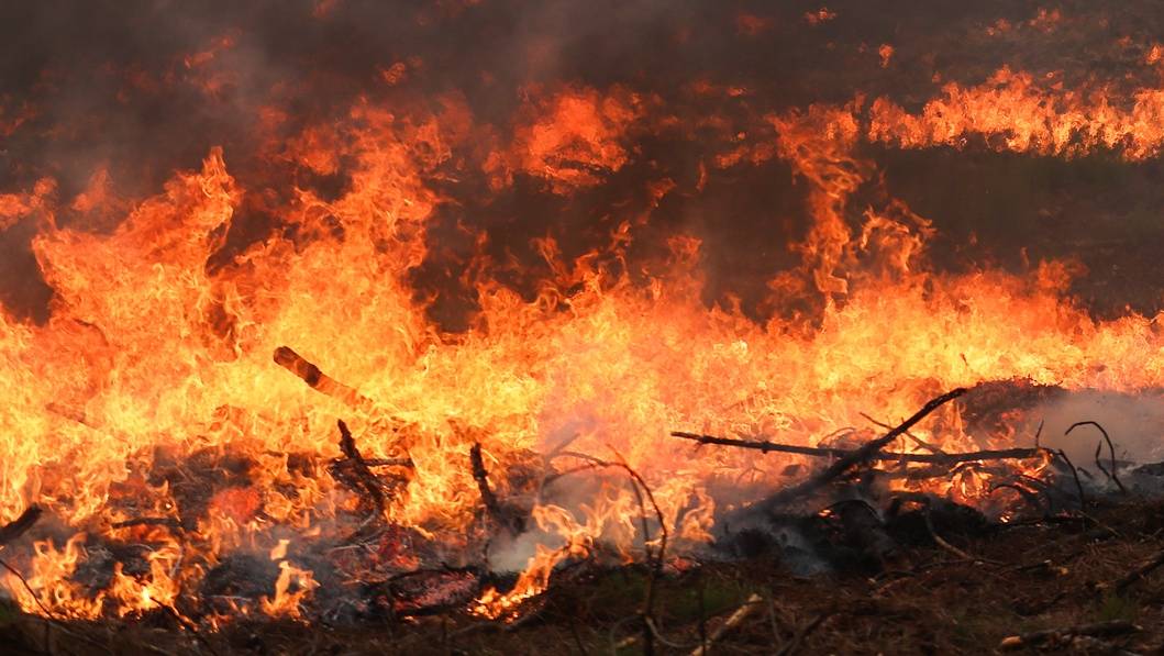 Um bombeiro combate um incêndio na localidade de Cardosos que provocou esta tarde o corte da A1 no concelho de Leiria, 7 de agosto de 2023. PAULO CUNHA/LUSA