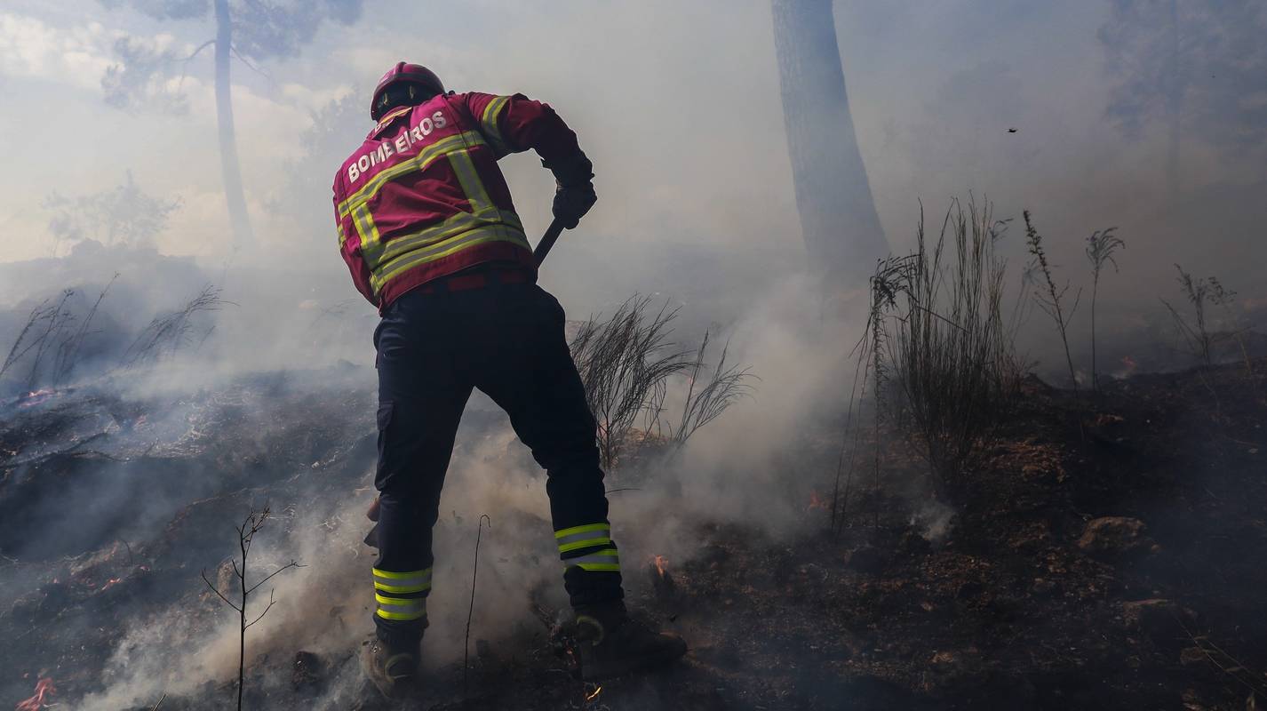 Um bombeiro combate um incêndio que deflagrou hoje em Pinhel, na Guarda, 6 de agosto de 2024. Segundo a página da Autoridade Nacional de Emergência e Proteção Civil (ANEPC), consultada às 17:15, 87 bombeiros, 18 veículos e 07 meios aéreos combatiam o incêndio no local. MIGUEL PEREIRA DA SILVA/LUSA.