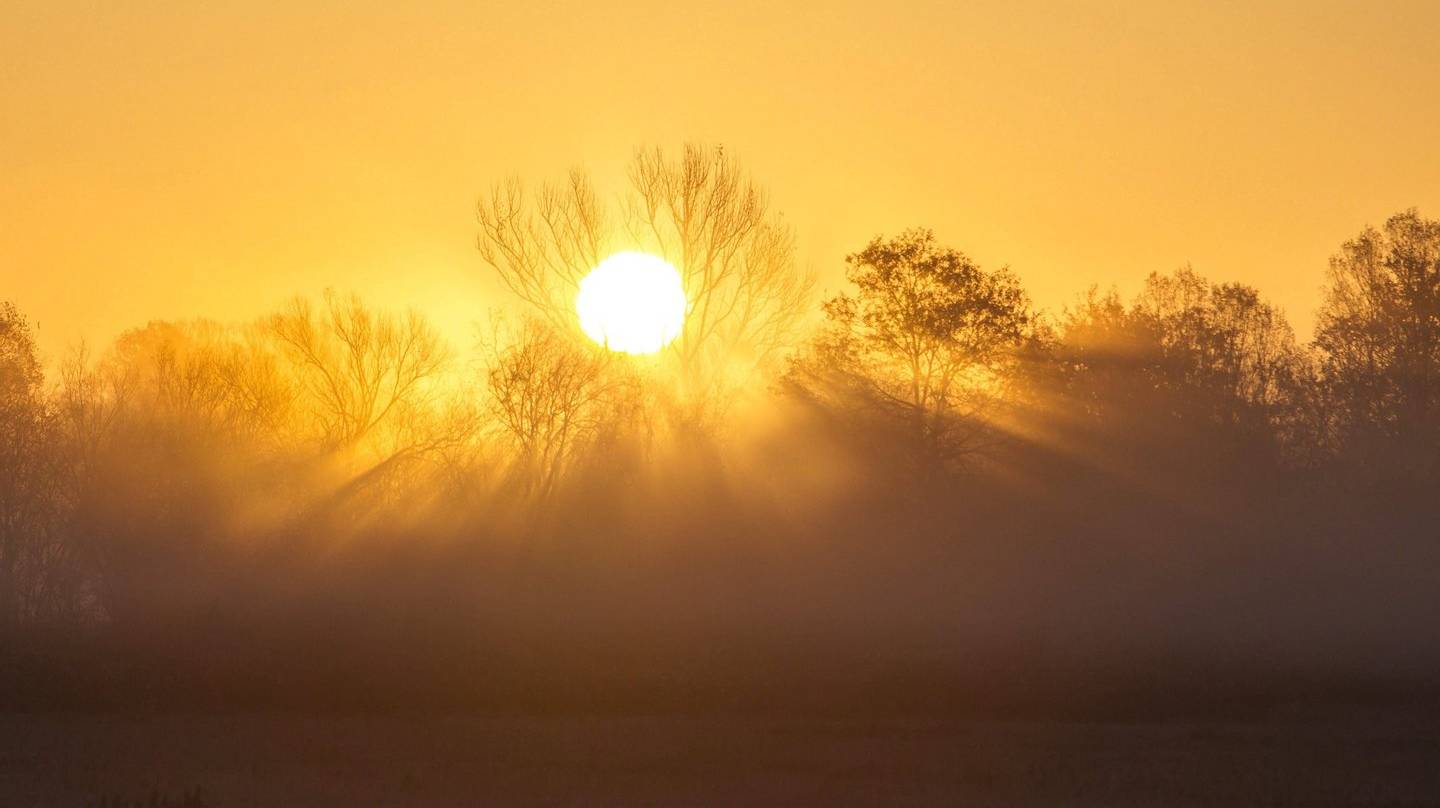 calor e incêndios