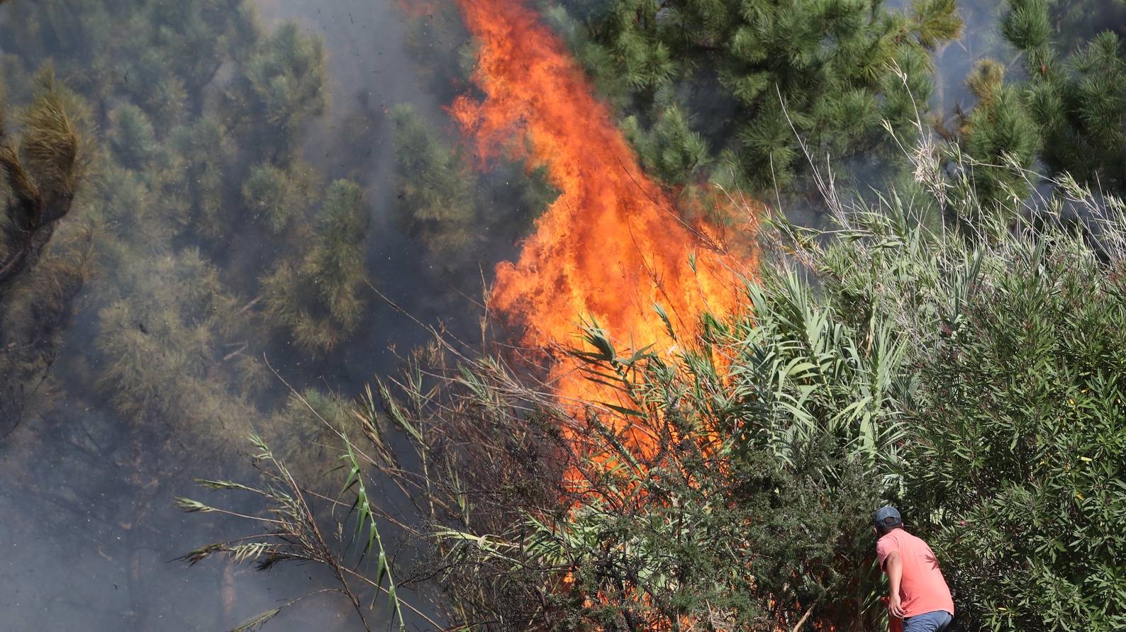 Populares tentam apagar o incêndio no concelho da Calheta, Madeira, 12 de outubro de 2023. O incêndio deflagrou cerca das 18:00 de quarta-feira na freguesia dos Prazeres, no município da Calheta, na zona oeste da Madeira, e motivou a retirada de 120 hóspedes do Hotel Jardim Atlântico”, cerca das 20:00, embora o fogo não tenha atingido a infraestrutura. HOMEM DE GOUVEIA/LUSA