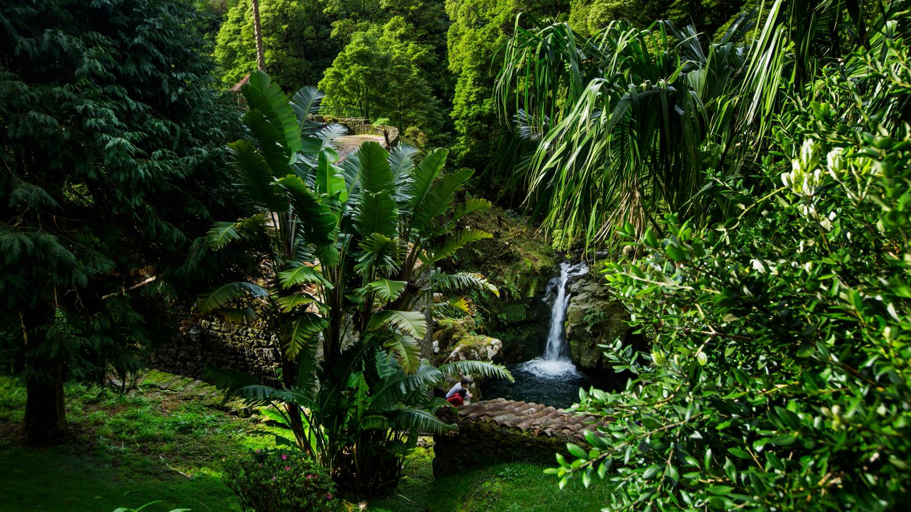 Parque Natural da Ribeira dos Caldeirões, Nordeste, em Ilha de São Miguel, Açores, 14 de setembro de 2016. EDUARDO COSTALUSA