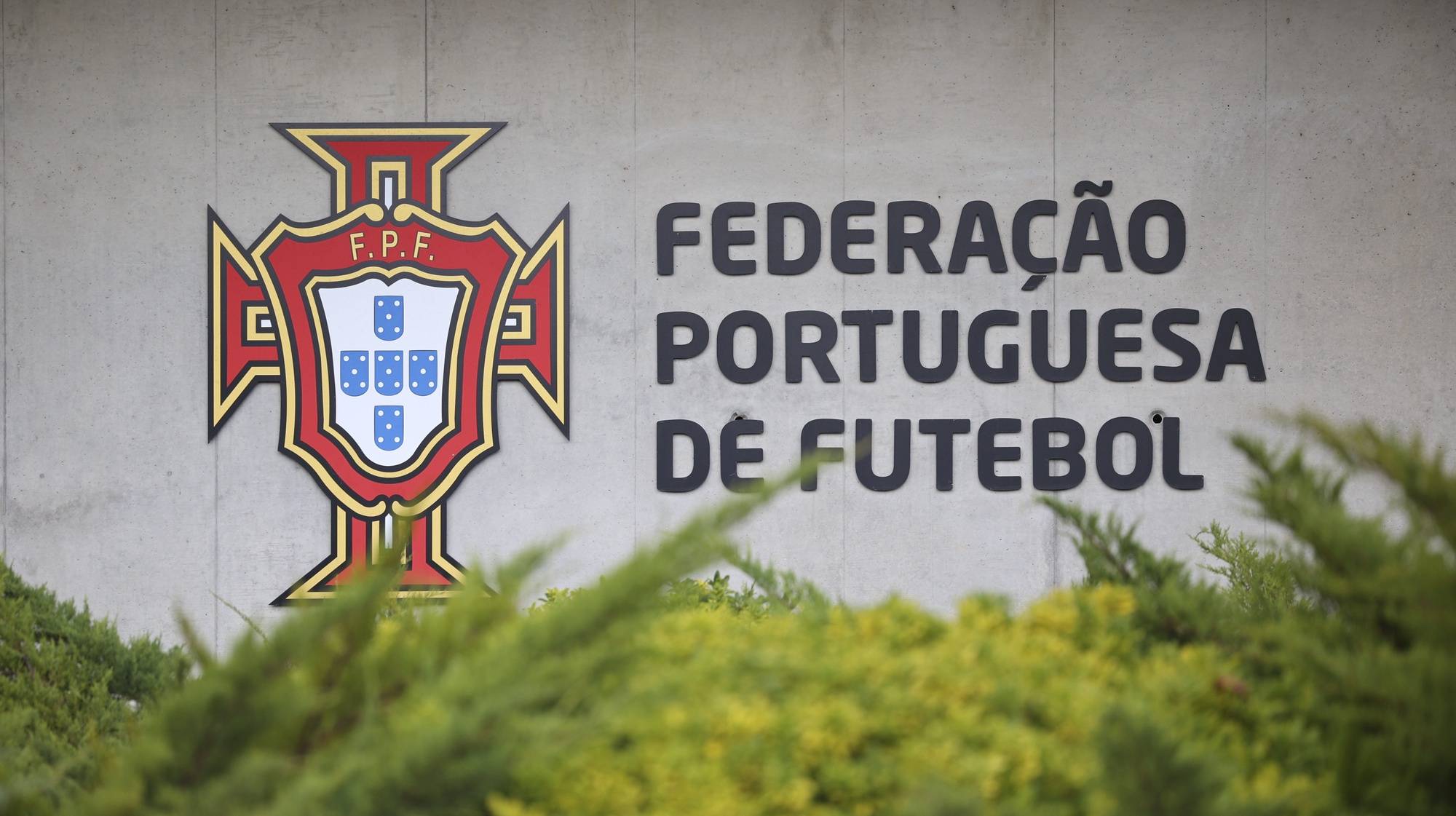 Logotipo da Federação Portuguesa de Futebol,  Oeiras, 04 de dezembro de 2023. ANTÓNIO COTRIM/LUSA