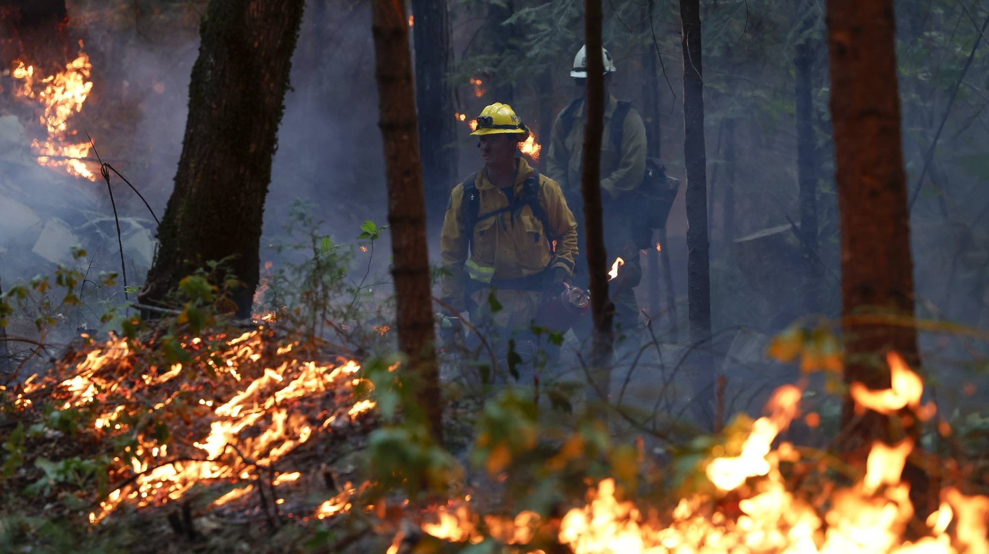 epa11505041 Firefighters battle the Park Fire, which has currently burned over 353,194 acres according to the California Department of Forestry and Fire Protection (Cal Fire), in Butte County, California, USA, 28 July 2024. According to a press release from Butte County District Attorney Mike Ramsey, a 42-year-old man from Chico, California was arrested for allegedly pushing a burning car into a gully which set off the Park Fire. As of today, according to Cal Fire, the fire was 12 percent contained.  EPA/JOHN G. MABANGLO