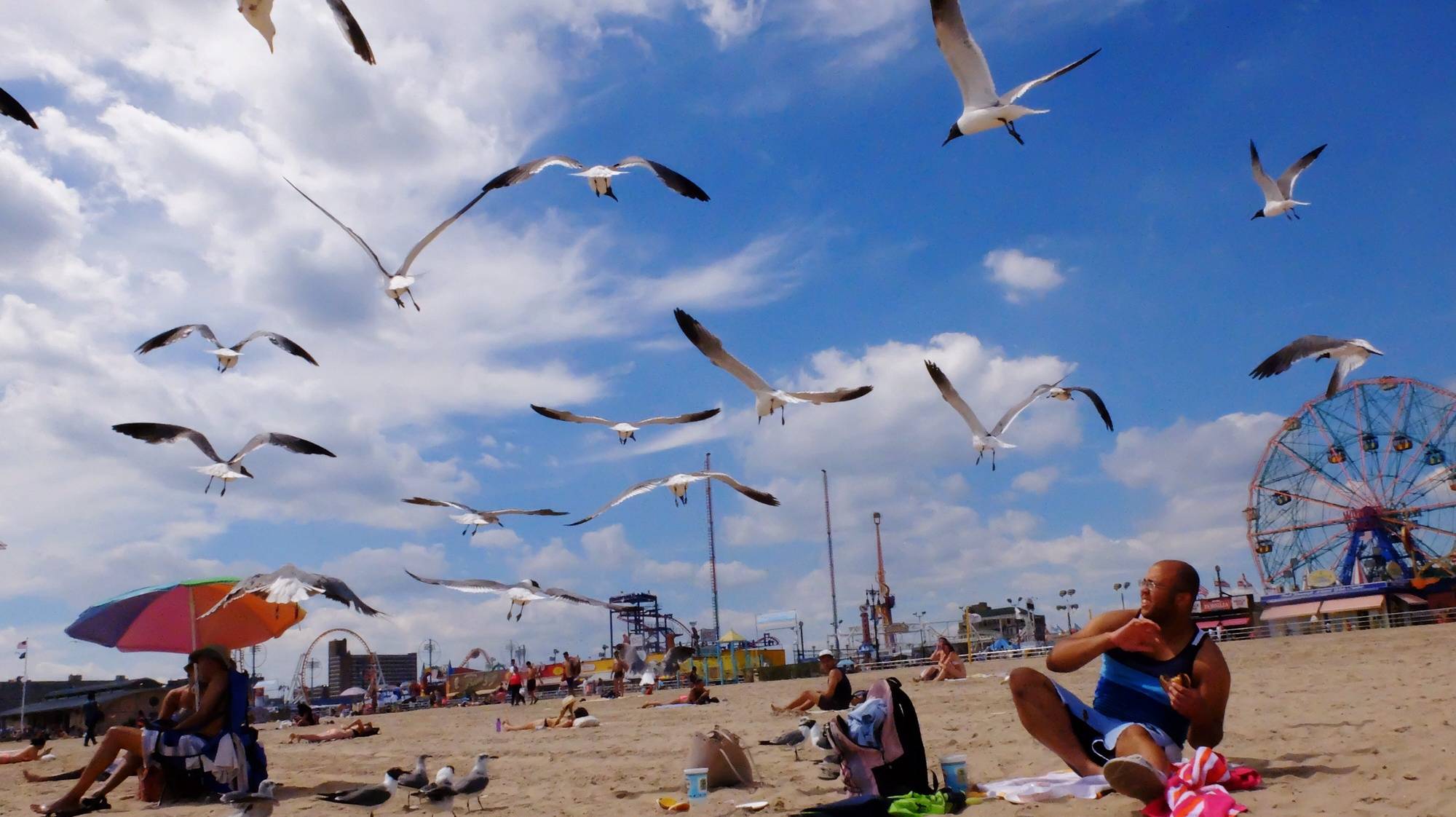 epa05442273 Seaguls try to steal food as people enjoy a day on the beach in the Coney Island neighborhood of Brooklyn, New York, USA, 26 July 2016. Temperatures will be between 28 to 32 degrees Celsius for most of the New York area.  EPA/EDUARDO MUNOZ