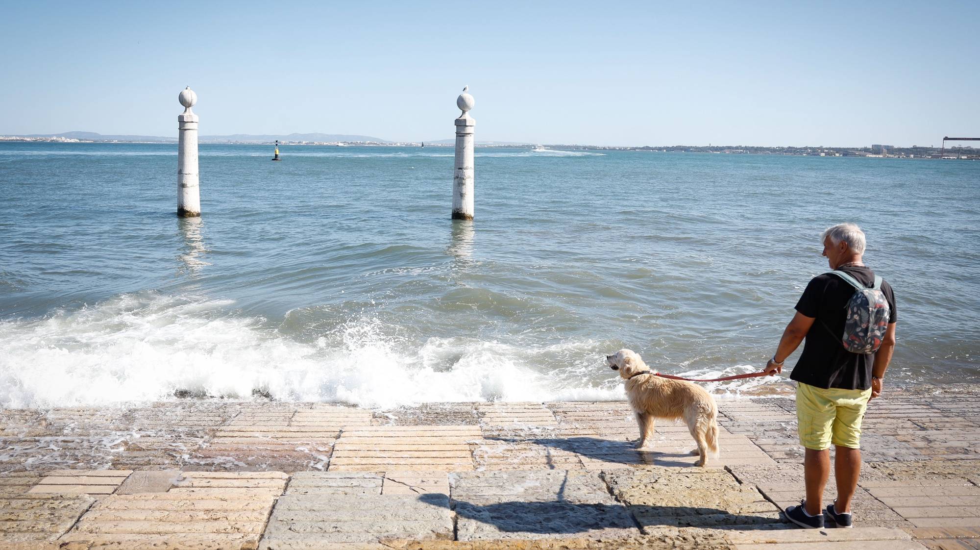 Um homem passeia o cão junto ao Cais das Colunas, em Lisboa, 06 de agosto de 2024. Baixa. Turismo. Animais. ANTÓNIO PEDRO SANTOS/LUSA