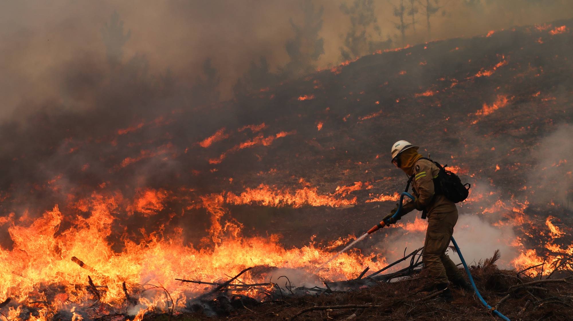 Um bombeiro combate um incêndio na localidade de Cardosos que provocou esta tarde o corte da A1 no concelho de Leiria, 7 de agosto de 2023. PAULO CUNHA/LUSA