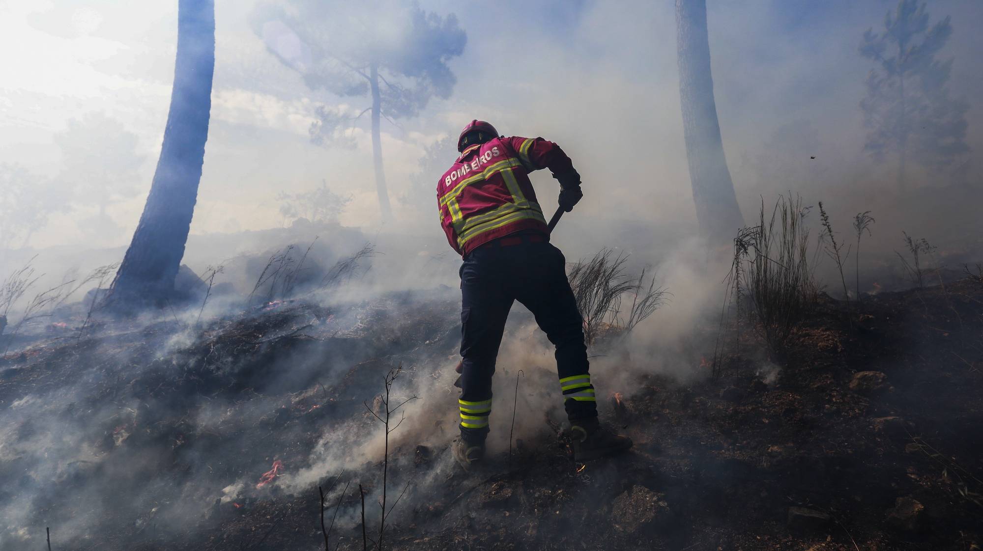 Um bombeiro combate um incêndio que deflagrou hoje em Pinhel, na Guarda, 6 de agosto de 2024. Segundo a página da Autoridade Nacional de Emergência e Proteção Civil (ANEPC), consultada às 17:15, 87 bombeiros, 18 veículos e 07 meios aéreos combatiam o incêndio no local. MIGUEL PEREIRA DA SILVA/LUSA.