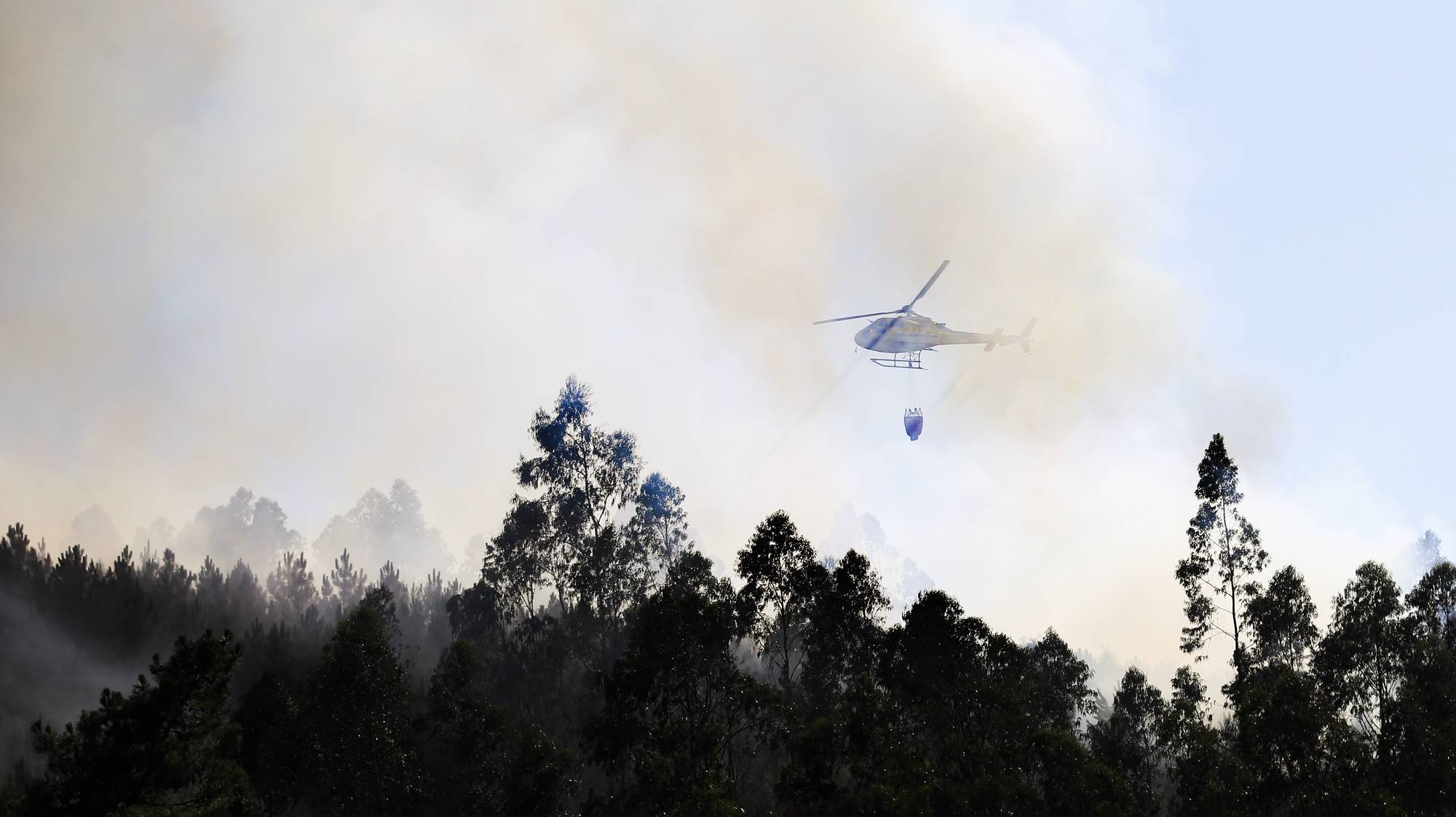 Combate ao incêndio na freguesia de Freixianda, no concelho de Ourém, que deflagrou ao início da tarde de hoje, está a mobilizar mais de 200 operacionais e 11 meios aéreos, Ourém., 24 de julho de 2024. PAULO CUNHA/LUSA