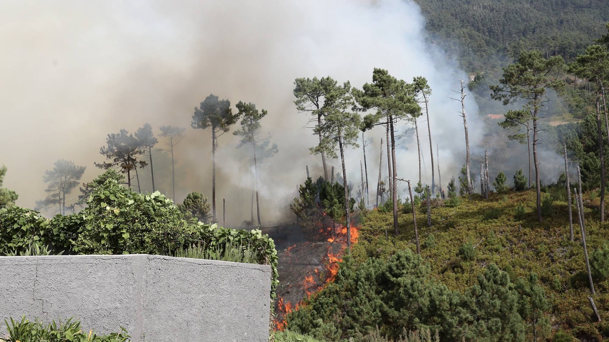 O incêndio no concelho da Calheta, Madeira, 12 de outubro de 2023. O incêndio deflagrou cerca das 18:00 de quarta-feira na freguesia dos Prazeres, no município da Calheta, na zona oeste da Madeira, e motivou a retirada de 120 hóspedes do Hotel Jardim Atlântico”, cerca das 20:00, embora o fogo não tenha atingido a infraestrutura. HOMEM DE GOUVEIA/LUSA