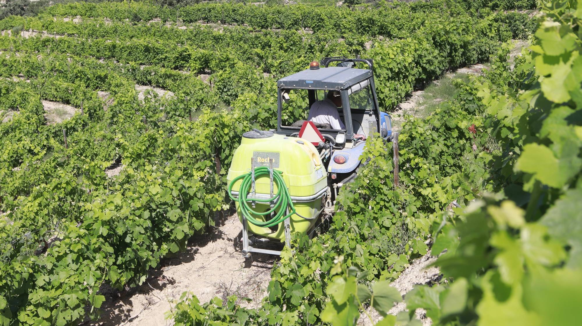 Os viticultores de Freixo de Numão, em Foz Côa, mostram-se hoje “desolados e desanimados”, depois da intempérie que assolou na segunda-feira este território do Douro Superior e que dizimou grande parte da cultura da vinha, 14 de junho de 2023. Ao longo das encostas desta região são visíveis os estragos nas videiras, que, na sua maioria, ficaram completamente destruídas pela força da chuva e do granizo que caiu ao final da tarde de segunda-feira e que atingiu mais de dois terços das vinhas deste concelho do distrito da Guarda. MIGUEL PEREIRA DA SILVA/LUSA