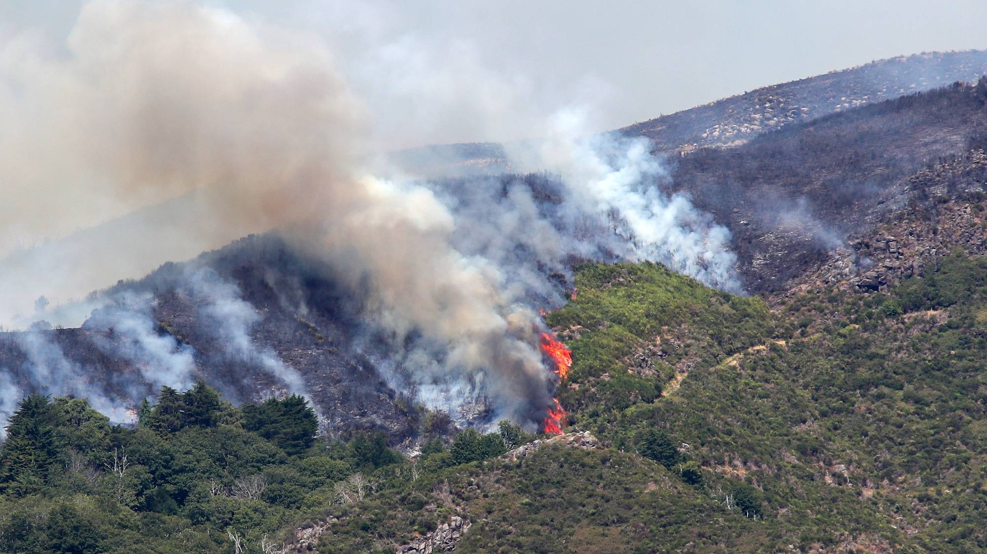 O incêndio que teve origem na Serra de Água, concelho da Ribeira Brava na quarta feira pela manhã, contínua ativo e em progressão trilhando maioritariamente o maciço central da ilha estando de momento a ocupar partes da freguesia do Jardim da Serra, no concelho de Câmara de Lobos, 16 de agosto de 2024. HOMEM DE GOUVEIA/LUSA