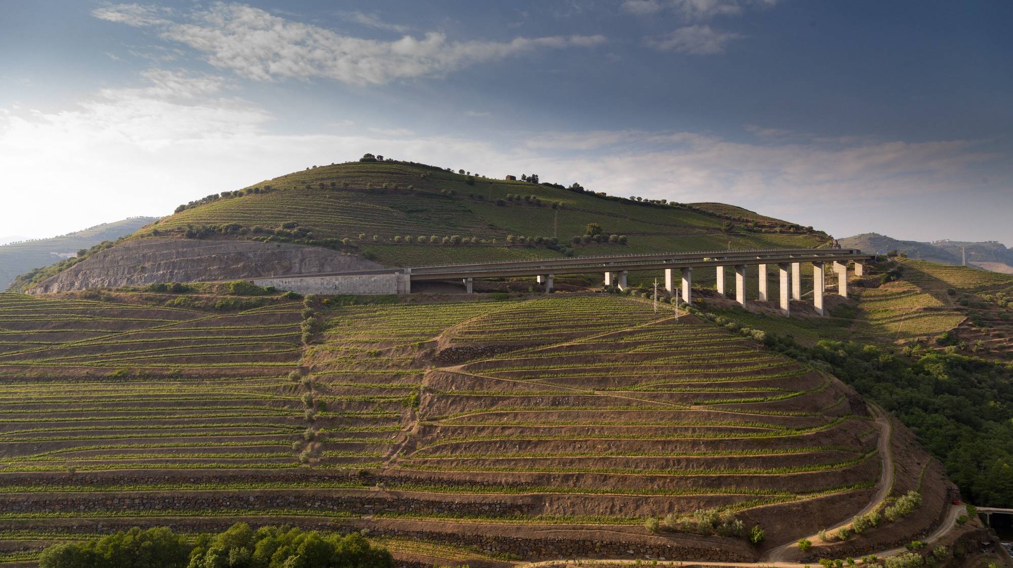 Vinhas do Douro em Peso da Régua, distrito de Vila Real, 21 de abril de 2017. PEDRO SARMENTO COSTA / LUSA