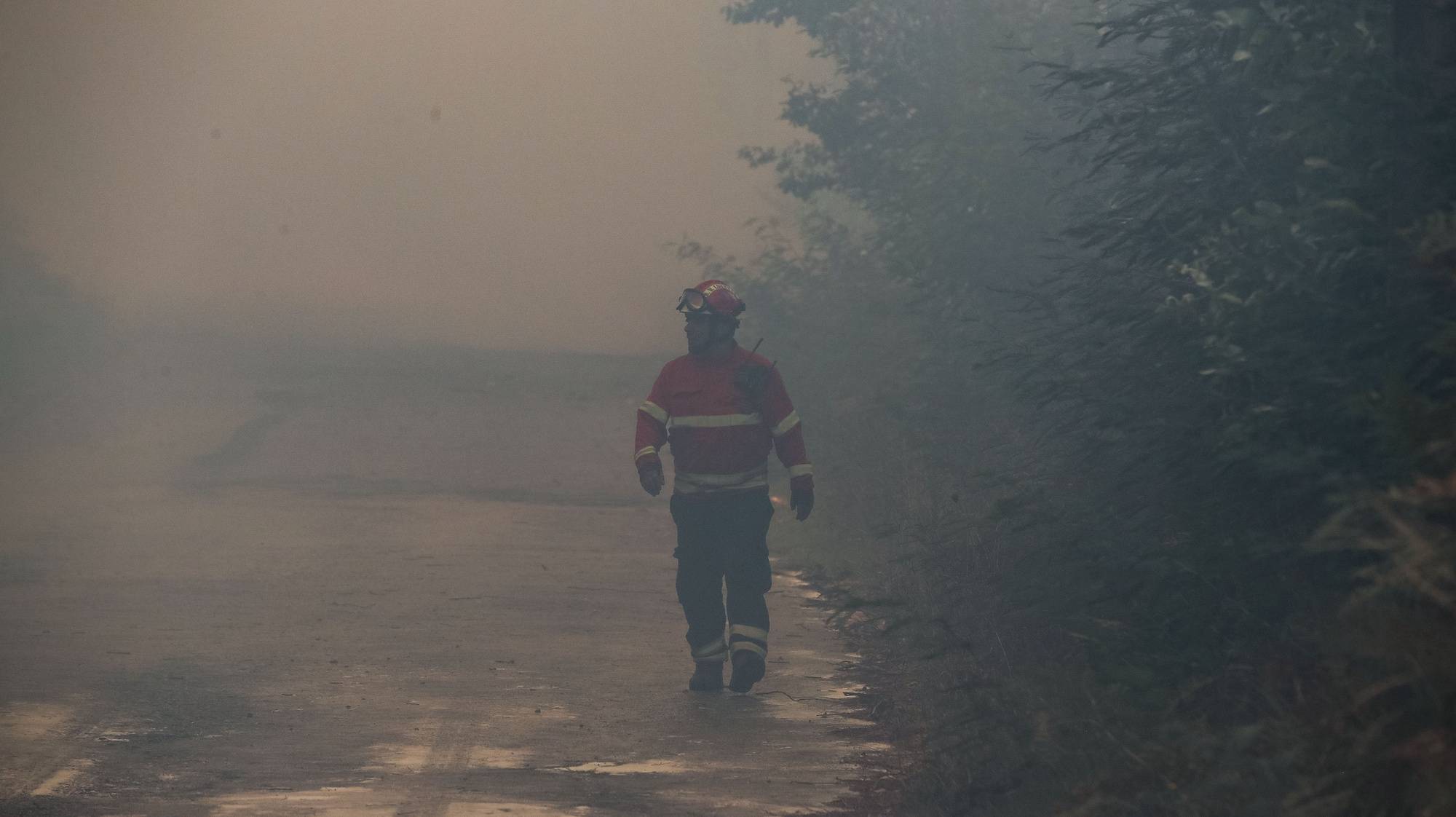 Um bombeiro durante o combate ao incêndio florestal lavra desde segunda-feira nos concelhos de Oliveira de Frades e Sever do Vouga, em Cedrim, 08 de setembro de 2020. A Estrada Nacional (EN) 328 encontra-se hoje cortada entre as freguesias de Pessegueiro do Vouga e Talhadas, na saída para a Autoestrada 25 (A25), no concelho de Sever do Vouga, devido ao incêndio de Oliveira de Frades. PAULO NOVAIS/LUSA