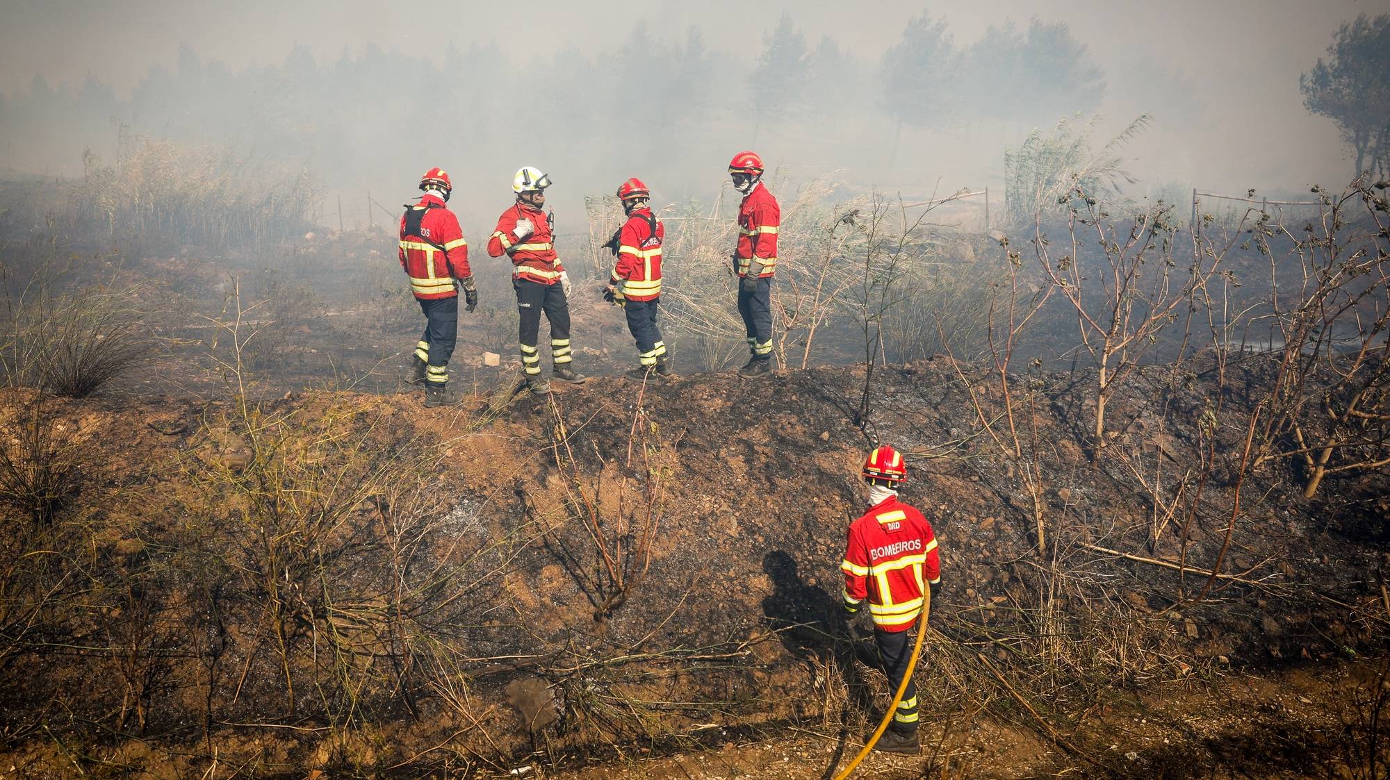 Bombeiros durante um incêndio que deflagrou hoje em zona de mato por volta das 12:20, em Alcabideche, no concelho de Cascais, Lisboa, de acordo com a Proteção Civil, 21 de julho de 2024. Segundo a página da Autoridade Nacional de Emergência e Proteção Civil (ANEPC), consultada às 17:08, 313 bombeiros, 91 veículos e nove meios aéreos combatiam o incêndio no local. ANTÓNIO PEDRO SANTOS/LUSA