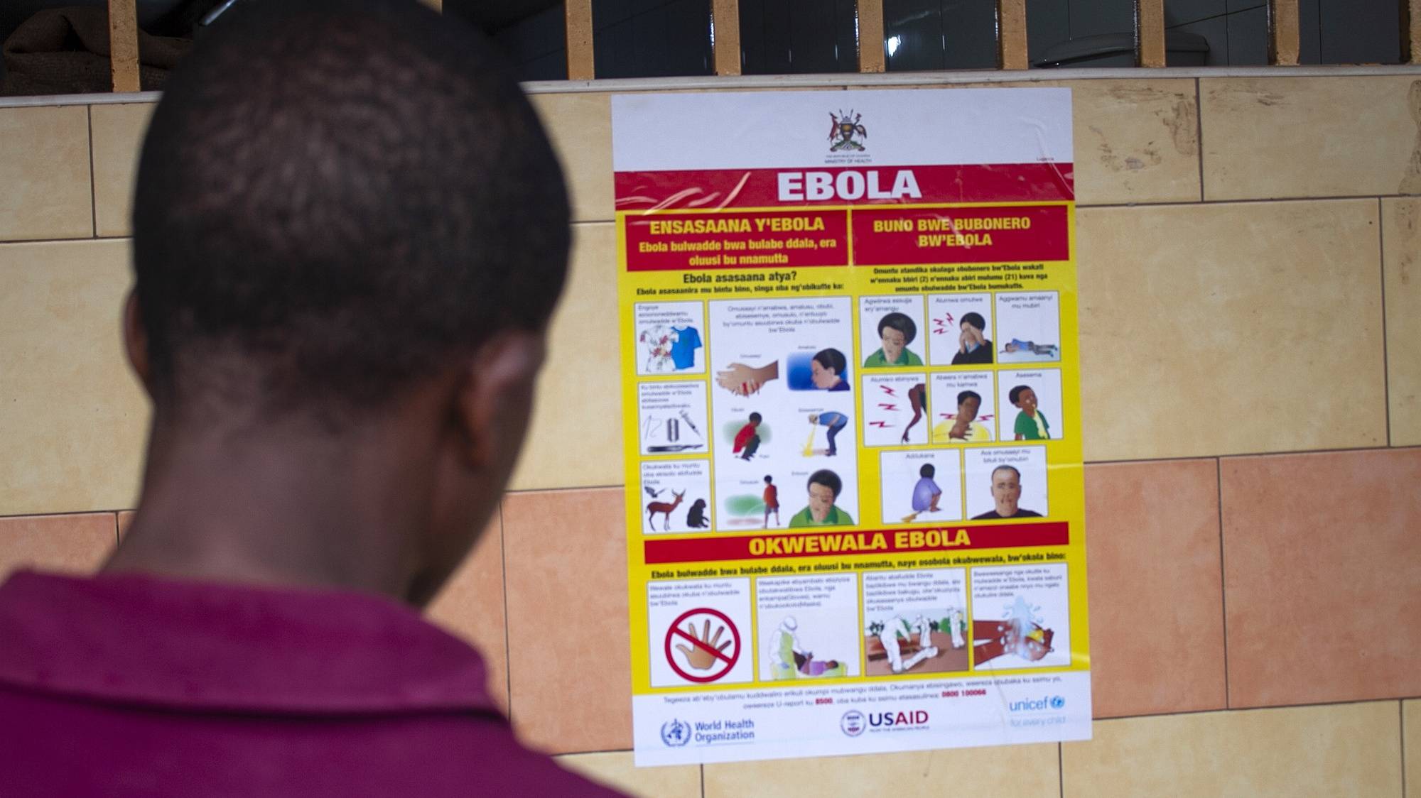 epa10212386 A man looks at an Ebola virus disease awareness campaign poster following an outbreak of Ebola in Uganda, in Kampala, Uganda, 28 September 2022. According to Uganda&#039;s Health Ministry, Ebola infections have risen across some districts in Uganda with the number of confirmed and suspected deaths at 36. The president addressed the nation on measures the government is putting in place to mitigate the spread.  EPA/Stringer