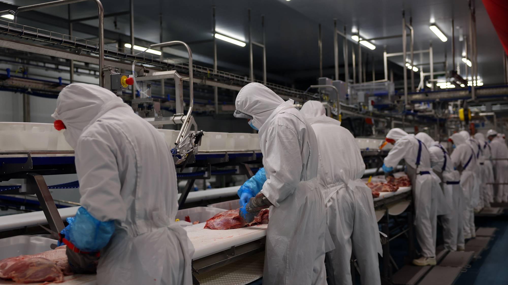 Trabalhadores na unidade agroalimentar de produção de carne de suínos da Maporal. Reguengos de Monsaraz, 28 de fevereiro de 2023. NUNO VEIGA/LUSA