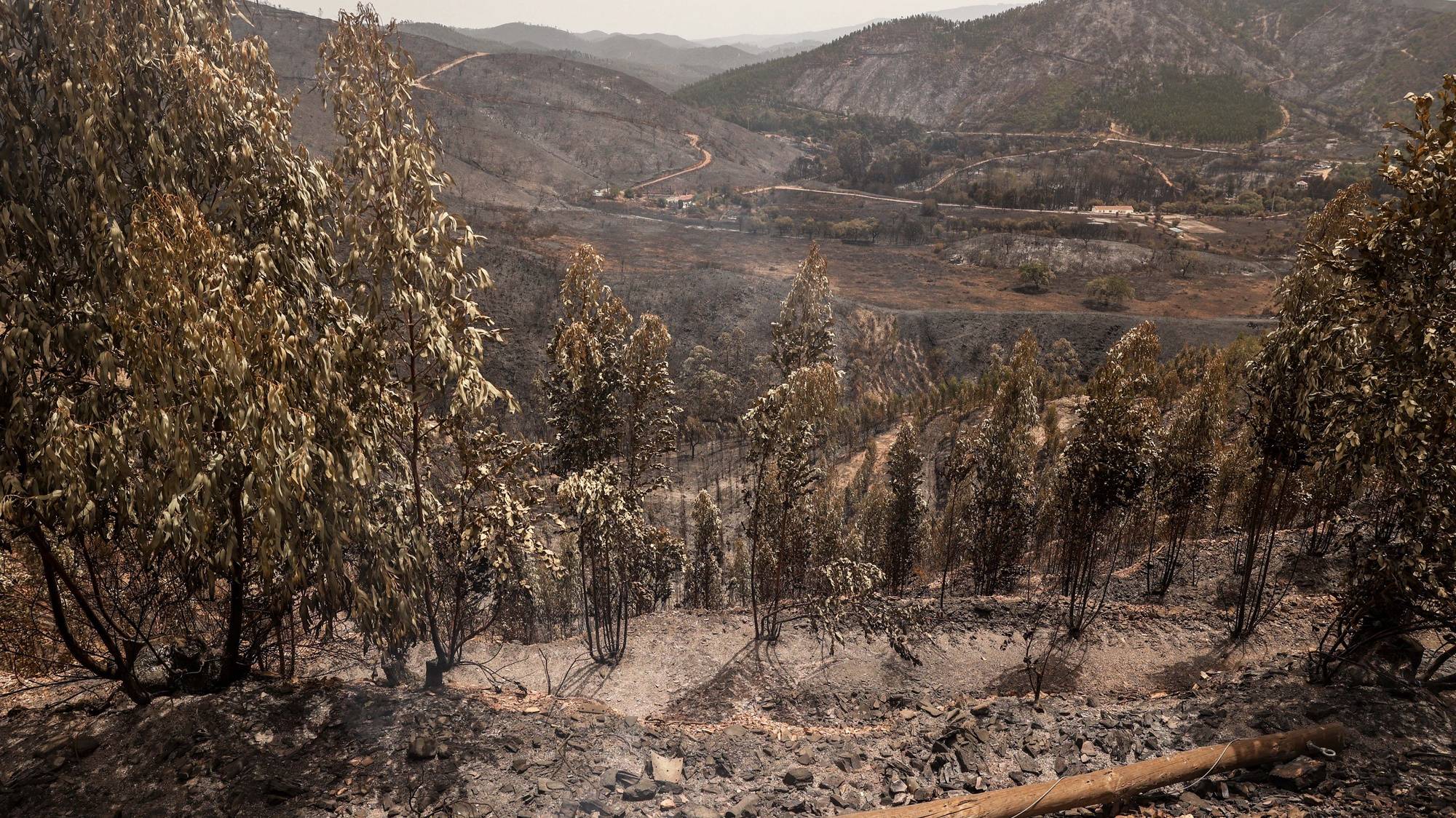 Área ardida na zona de Galé de Cima no concelho de Aljezur, 9 de agosto de 2023. O incêndio rural que deflagrou no sábado em Odemira e entrou nos concelhos de Monchique e Aljezur (Faro) destruiu pelo menos duas casas e uma unidade de turismo rural, além de vários anexos.  MIGUEL A. LOPES/LUSA